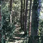 Nyaraló Modern In The Heart Of Chateau De Champagnat *