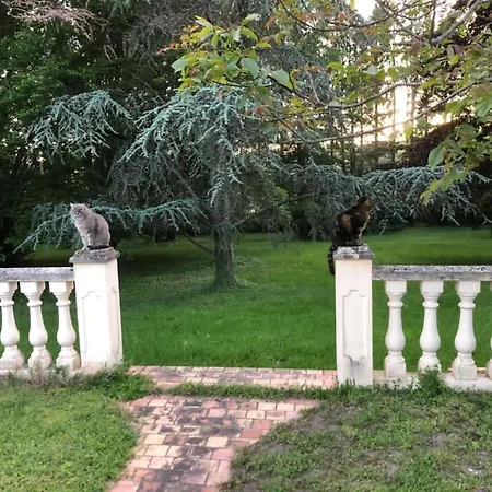 Hébergement de vacances Modern In The Heart Of Chateau De Champagnat Cusset