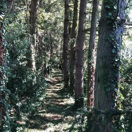 Hébergement de vacances Modern In The Heart Of Chateau De Champagnat *